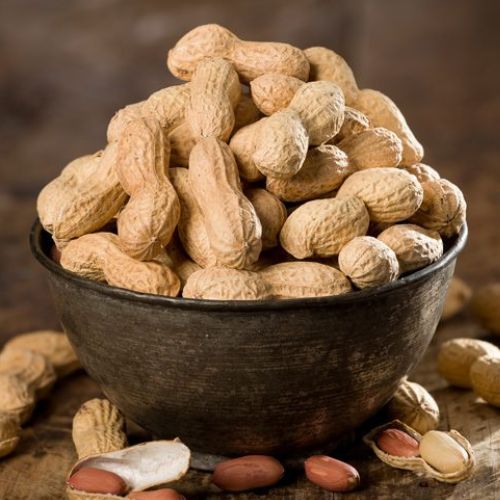Legumes