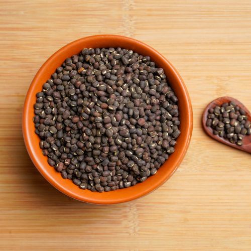 Urad