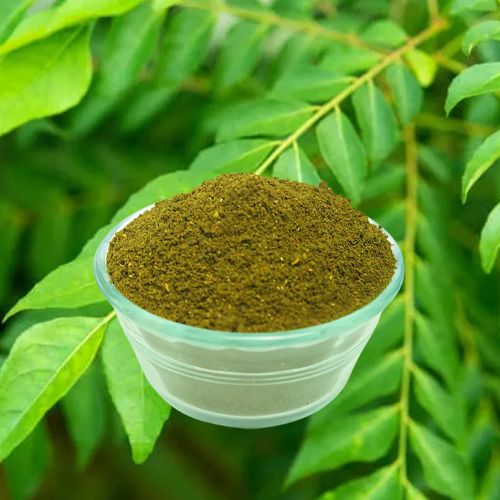 Curry Leaves