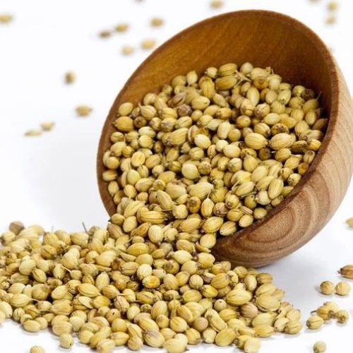 Coriander