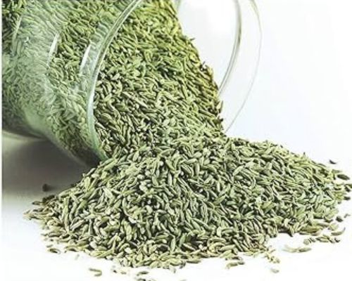 Fennel Export Image