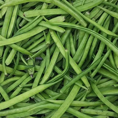 Cluster Beans