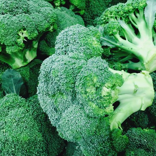 Broccoli