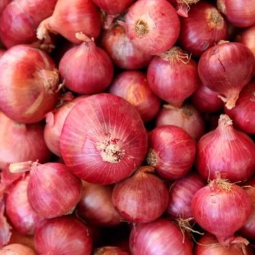 Onion