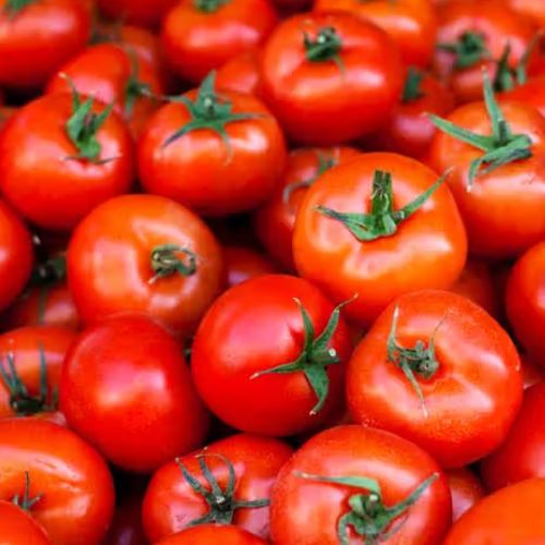 Tomato